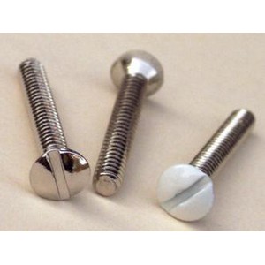 A classic 6/32 Painted Plate Screw.