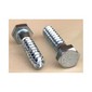 An all-purpose Hex Head Lag Screw.