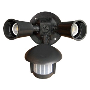 Motion Detector Light