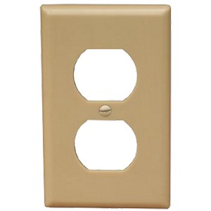 1 Gang Wall Plate Duplex Receptacle