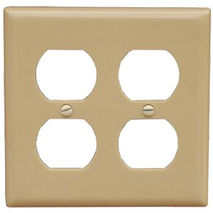 2 Gang Wall Plate Duplex Receptacle