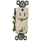 Combination Single Pole Switch and Receptacle